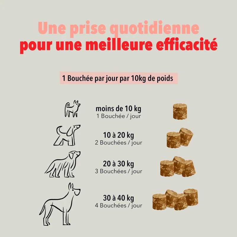 Bouchées Delamour Articulations