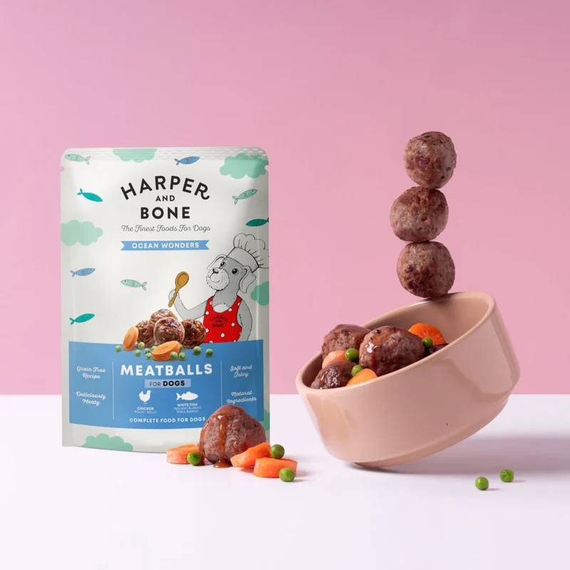 MEATBALLS OCEAN WONDERS