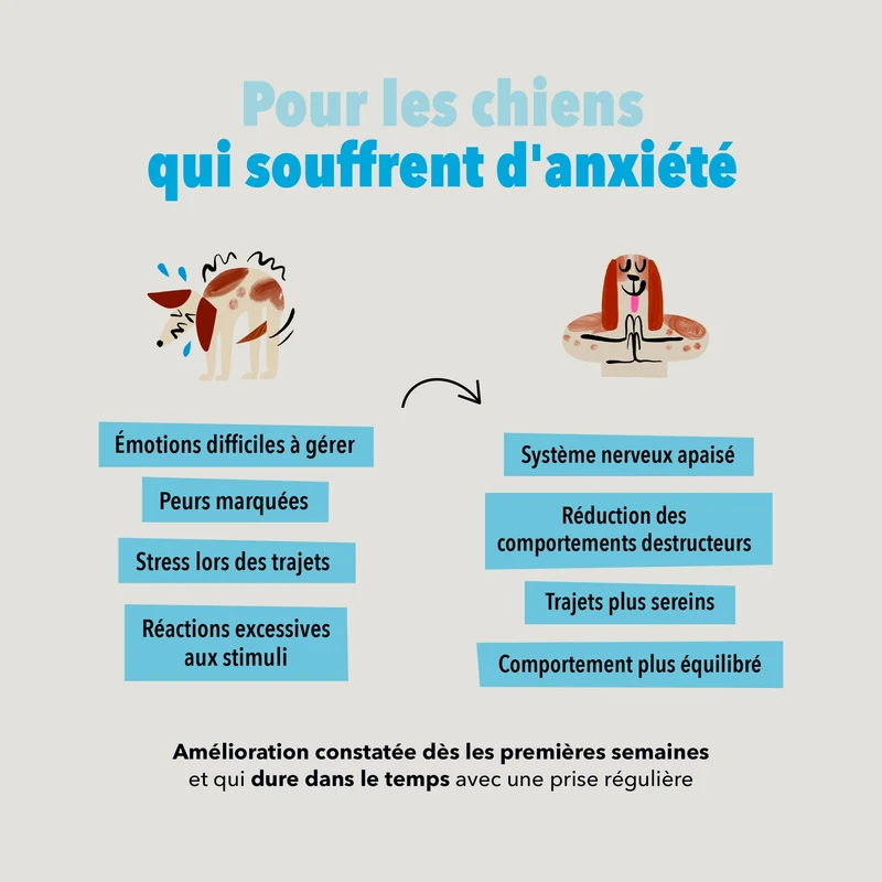 Bouchées Delamour Anxiété