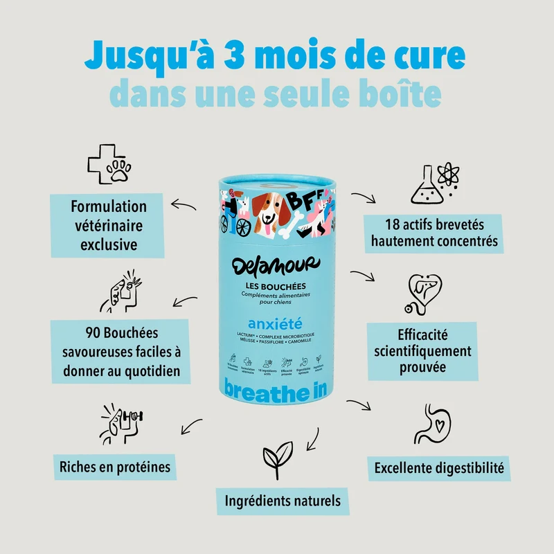 Bouchées Delamour Anxiété