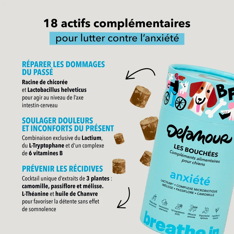 Bouchées Delamour Anxiété