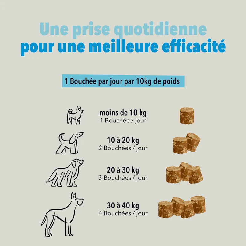 Bouchées Delamour Anxiété