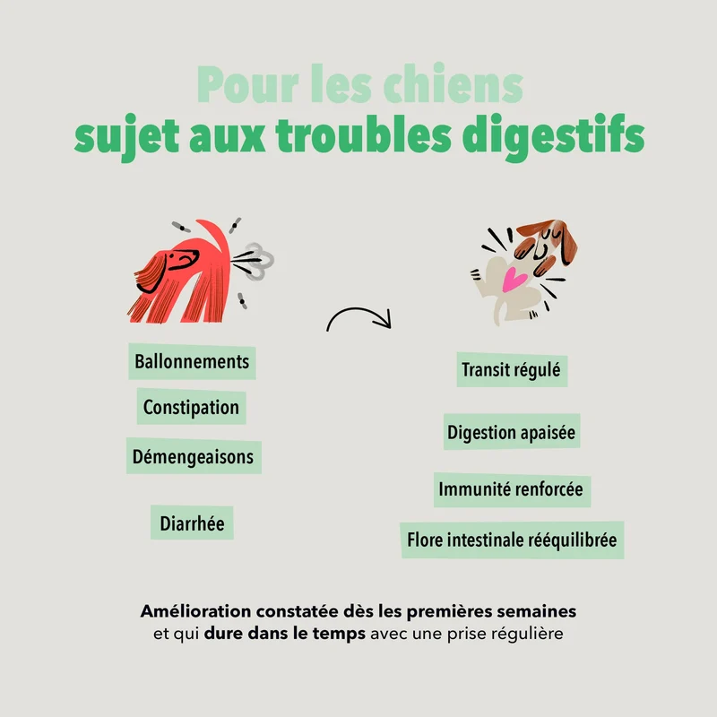 Bouchées Delamour Digestion