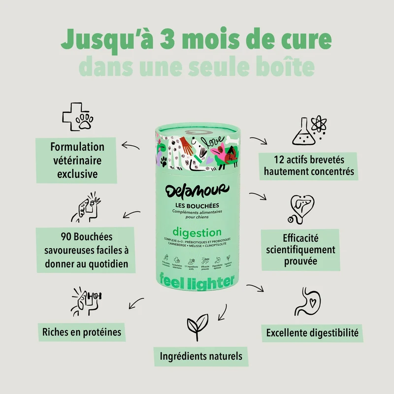 Bouchées Delamour Digestion