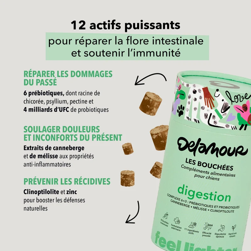 Bouchées Delamour Digestion
