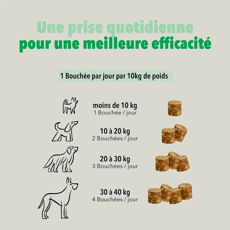 Bouchées Delamour Digestion