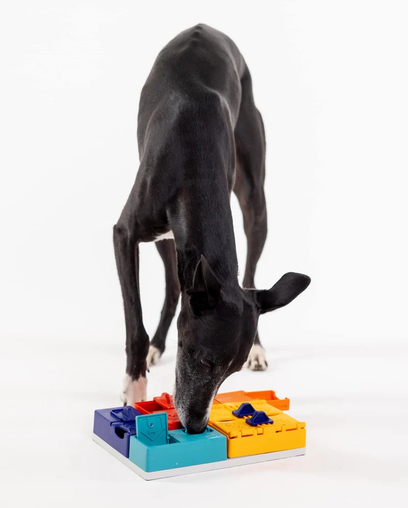 Puzzle pour chien évolutif Genius Set Pawzler