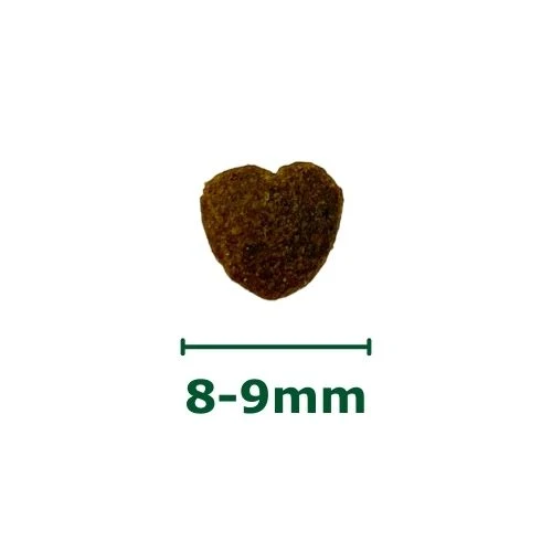 Biscuits pour chien aux insectes