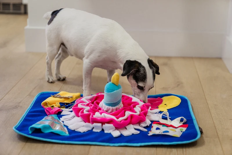 Tapis de fouille Woof-day Celebration