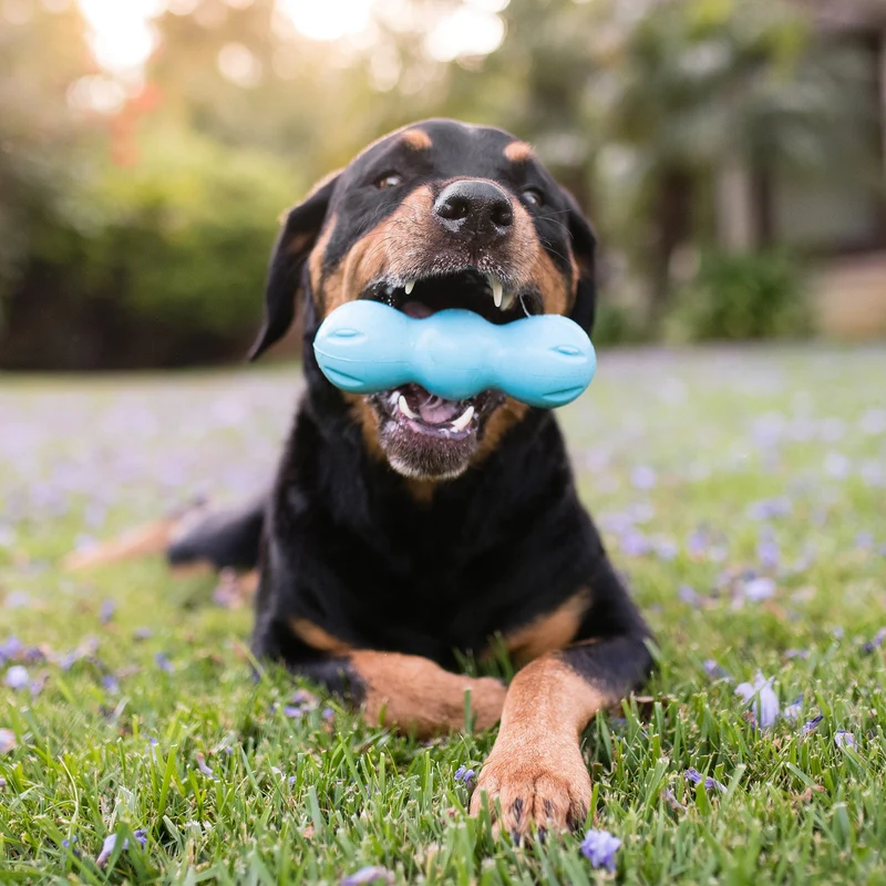 Jouet à Mâcher Rumpus pour Chien – West Paw