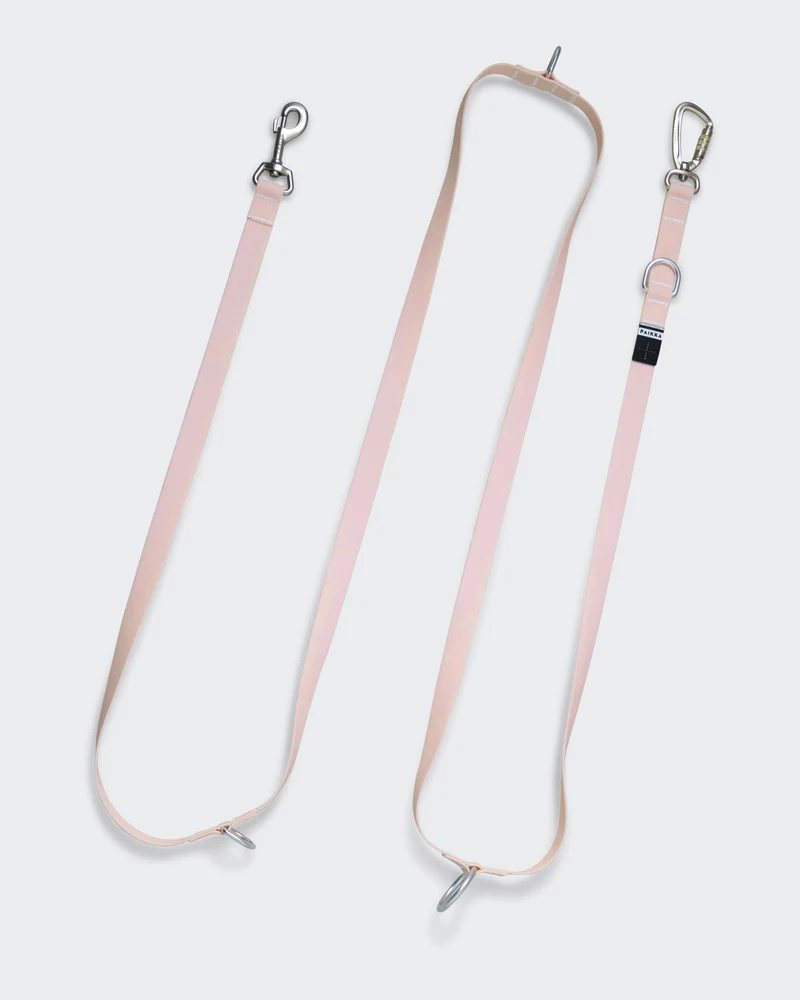 Laisse Fluorescente Lumineuse pour Chien Glow 2.0 – PAIKKA