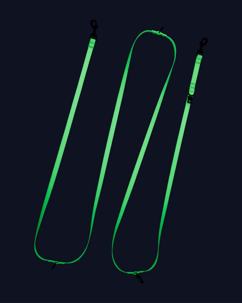 Laisse Fluorescente Lumineuse pour Chien Glow 2.0 – PAIKKA