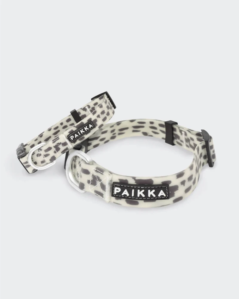 Collier Fluorescent Lumineux pour Chien Glow – PAIKKA