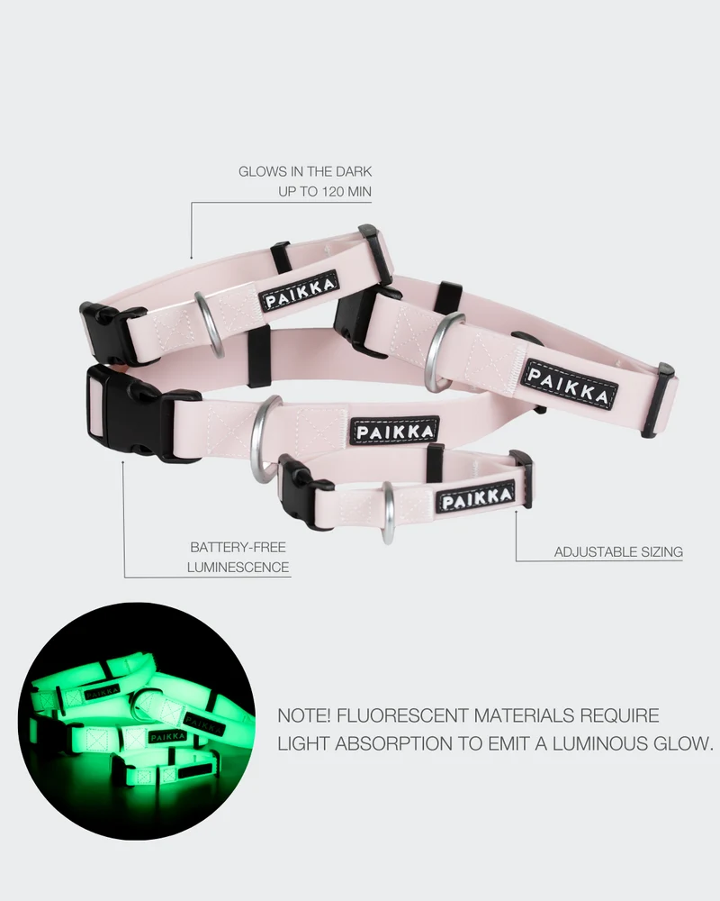 Collier Fluorescent Lumineux pour Chien Glow – PAIKKA