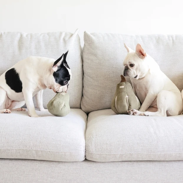 Jouet pour chien de fouille Butternut