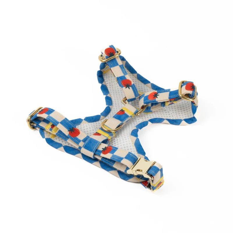 Harnais chien Chest B de Bruno Pomodoro