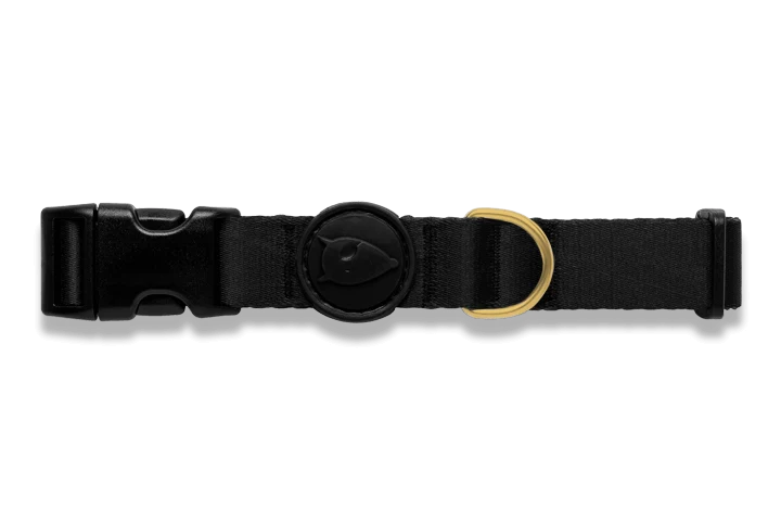 Collier pour chien Gold Caviar