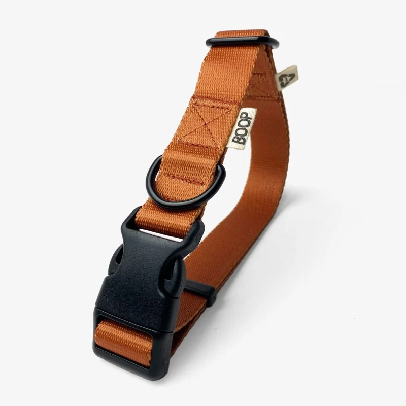 Collier chien recyclé Boop the Snoop