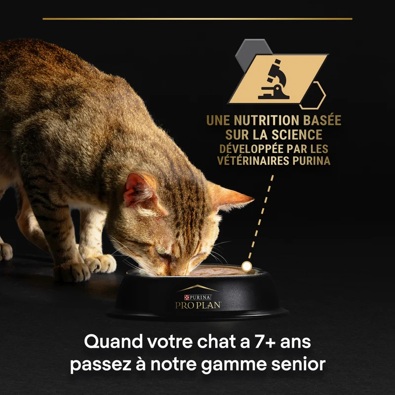 Pro Plan Sterilised thon et saumon - pâtée chat
