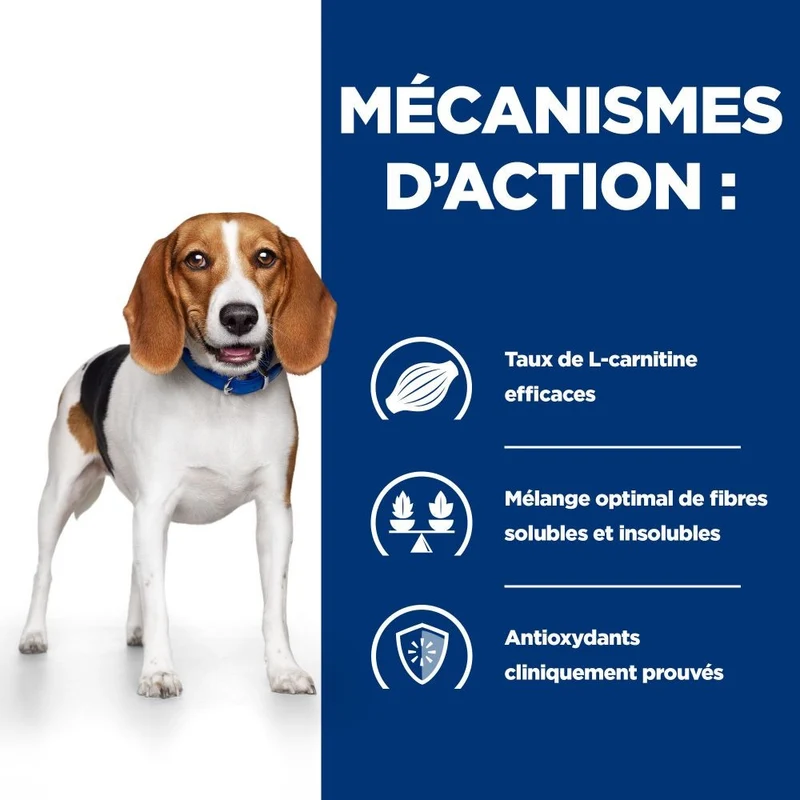 Hill's Prescription Diet r/d Weight Loss au poulet - croquettes chien