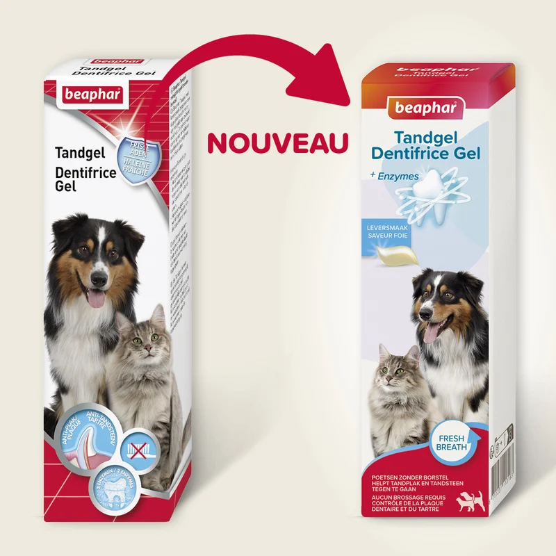 Dentifrice haleine fraîche sans rinçage chien, chat