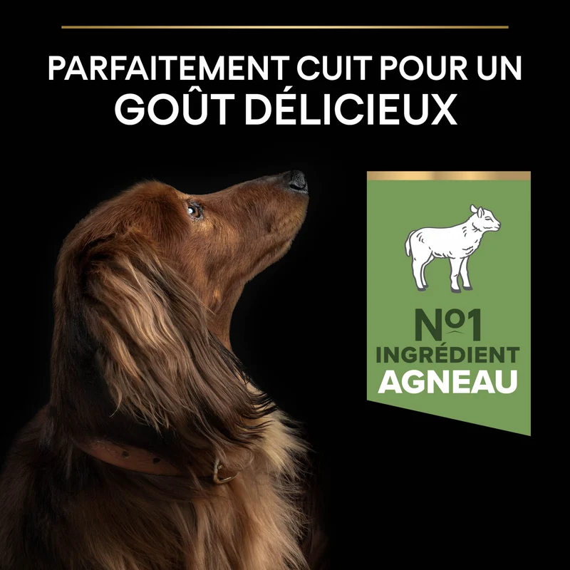 Pro Plan Sensitive Digestion Small & Mini Adult à l'agneau - croquettes chien