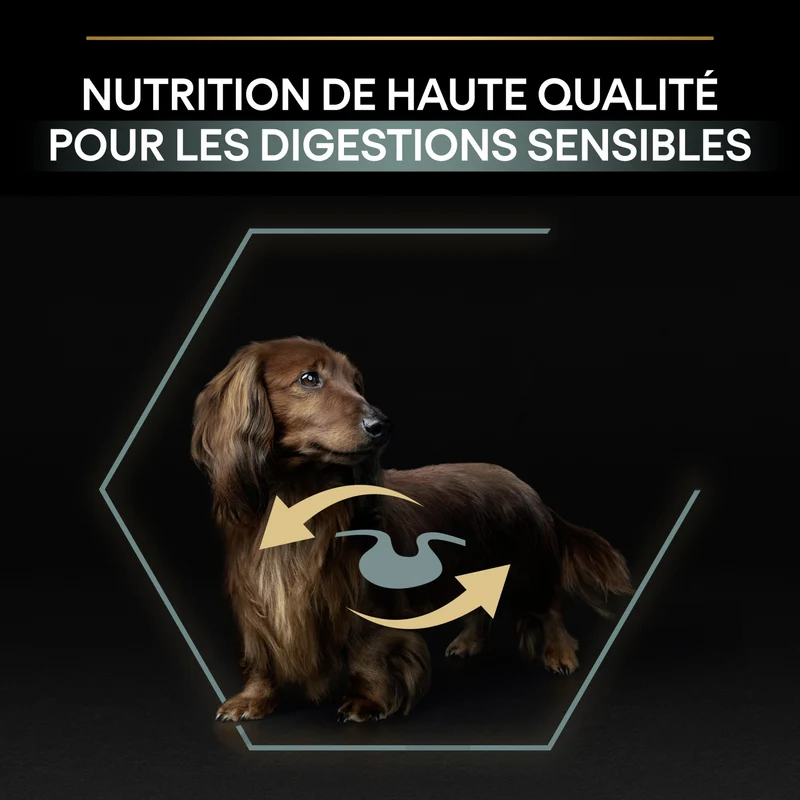 Pro Plan Sensitive Digestion Small & Mini Adult à l'agneau - croquettes chien