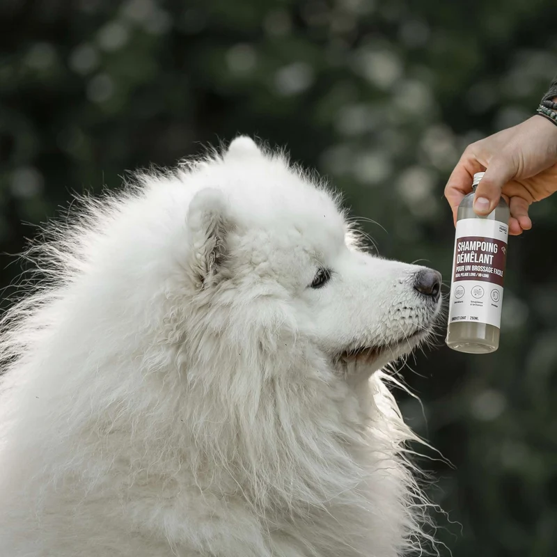 SHAMPOING DÉMÊLANT