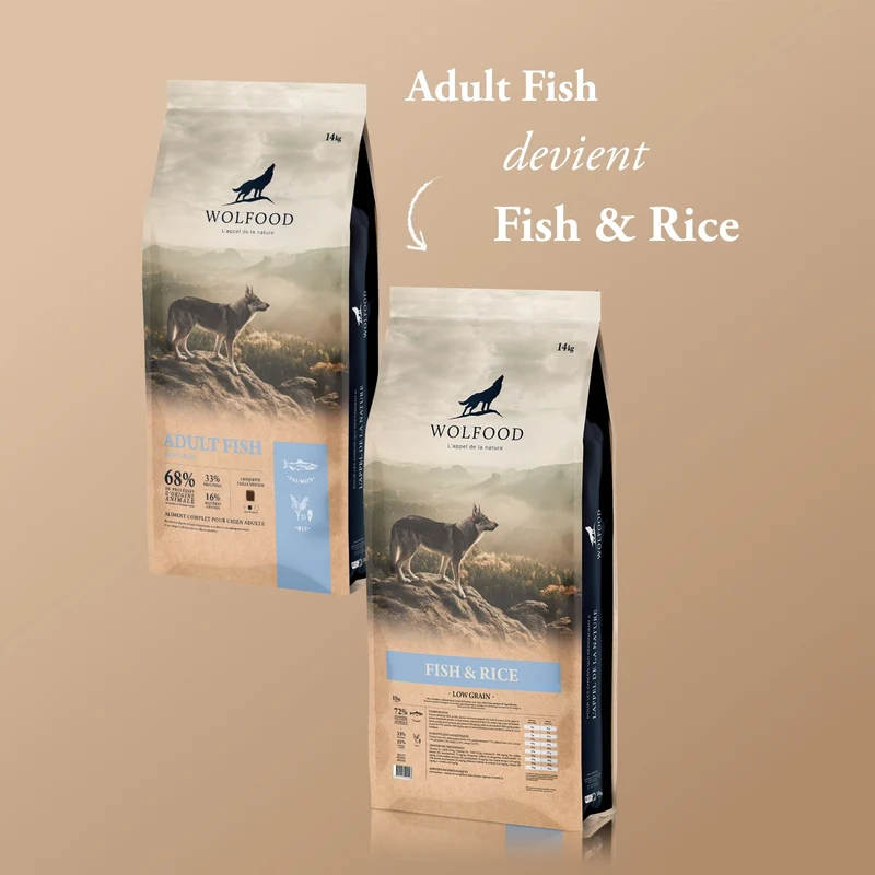 FISH & RICE