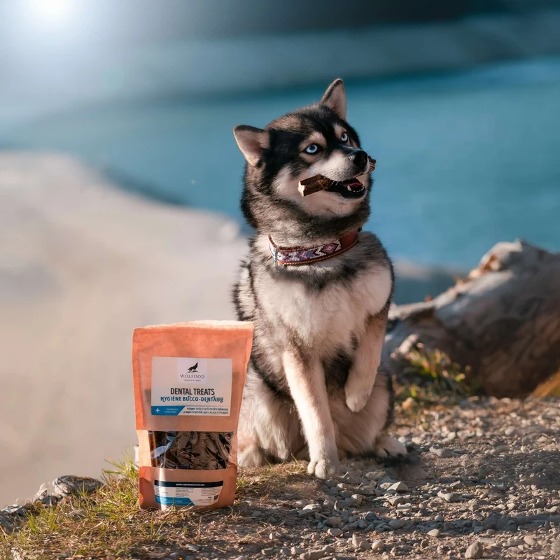 Dental Treats