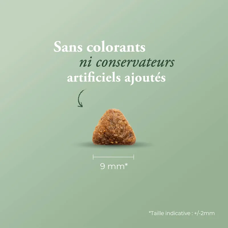 CARE HYPOALLERGÉNIQUE