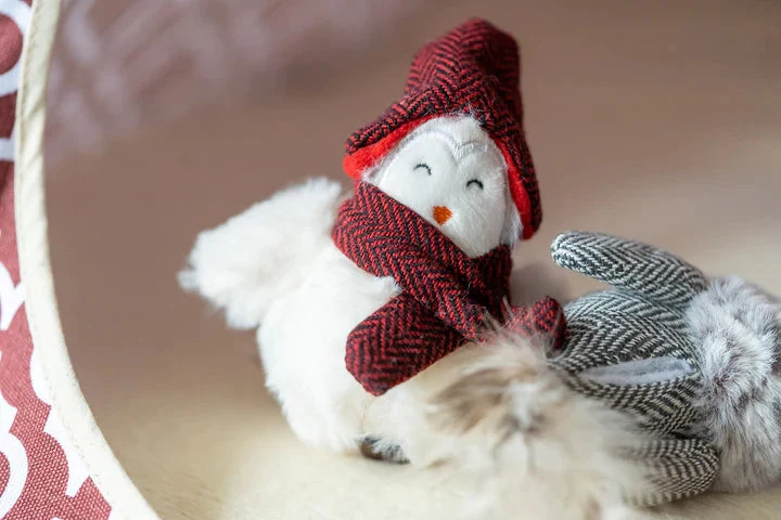 Jouet pour chat à la cataire Chirpy Birdie