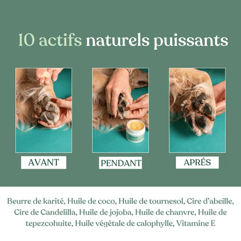 Baume Réparateur Naturel Coussinets & Truffe pour Chien et Chat – Weloca