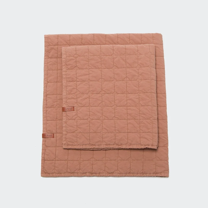 Couverture pour Chien LTTL – Cloud7