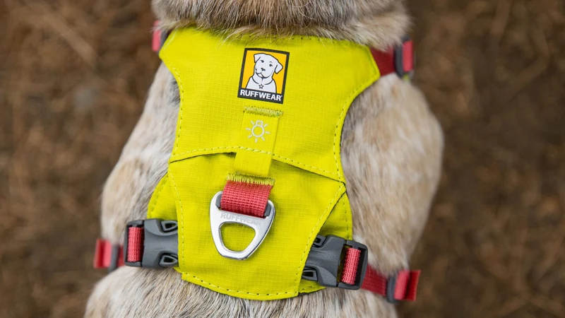 Harnais Léger pour Chien Hi & Light™ – Ajustable et Minimaliste