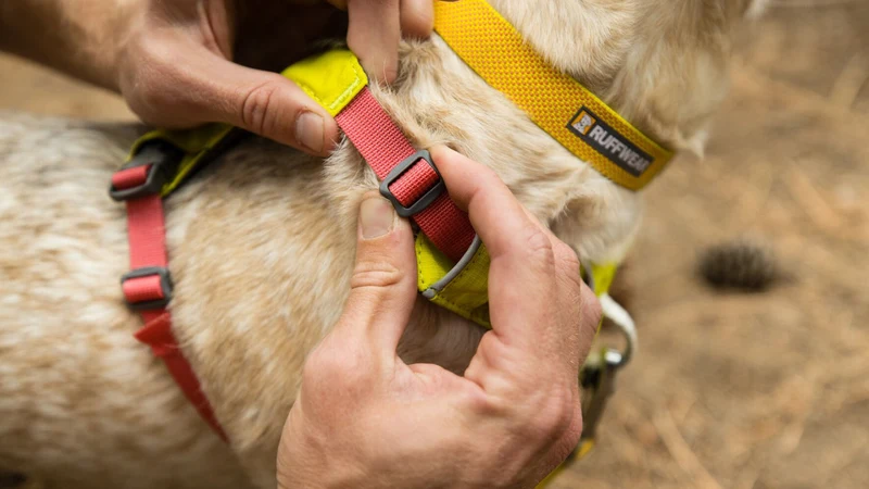 Harnais Léger pour Chien Hi & Light™ – Ajustable et Minimaliste