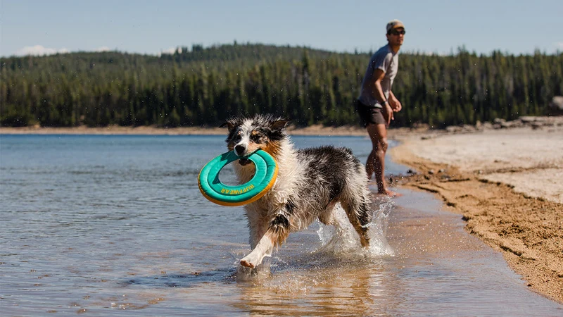 Ruffwear Hydro Plane™ Jouet Flottant pour Chien – Le Must-Have de l’Été !