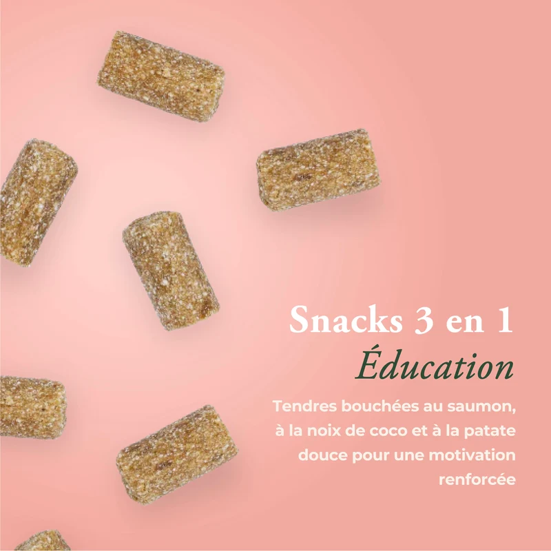 ÉDUCATION
