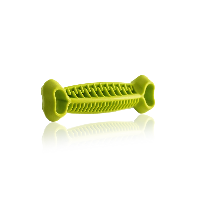 OS DENTITION