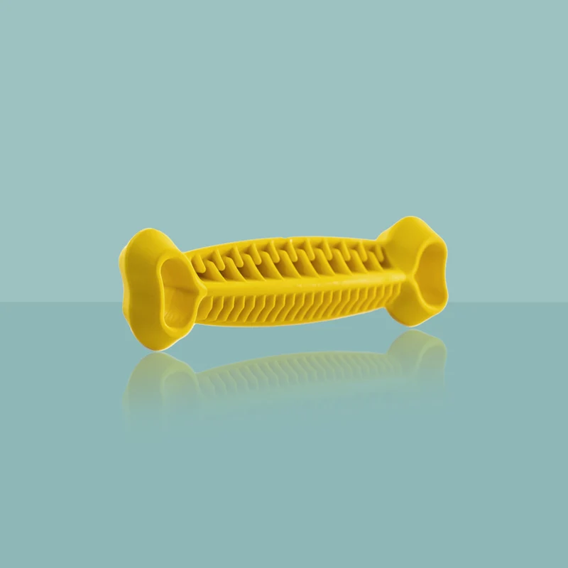 OS DENTITION