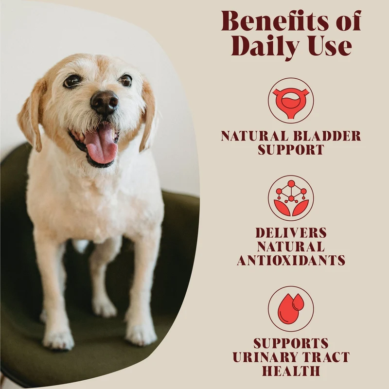 Soutien naturel pour des fonctions urinaires -Urinary Cranberry –
