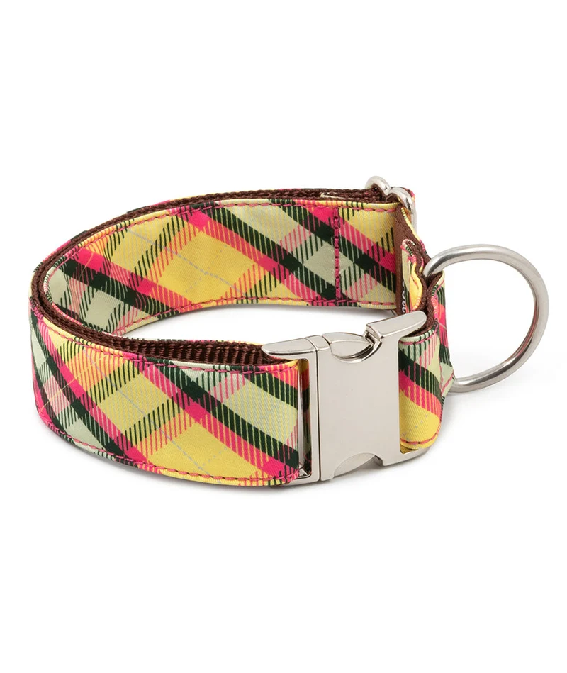 Collier pour chien Mollet – Brott Barcelona