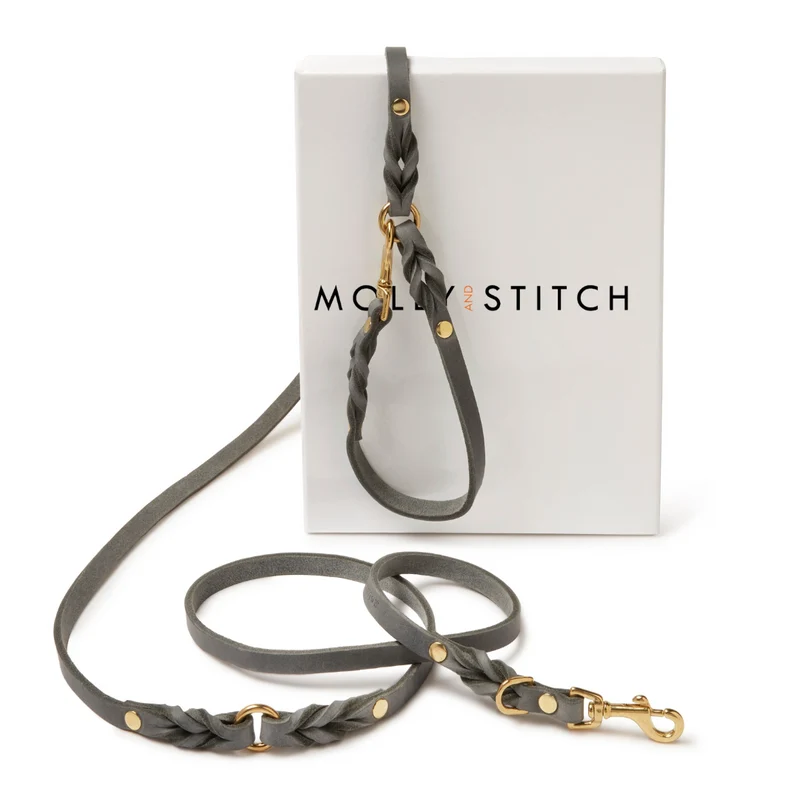 Laisse en cuir pour chien souple réglable (3x)
