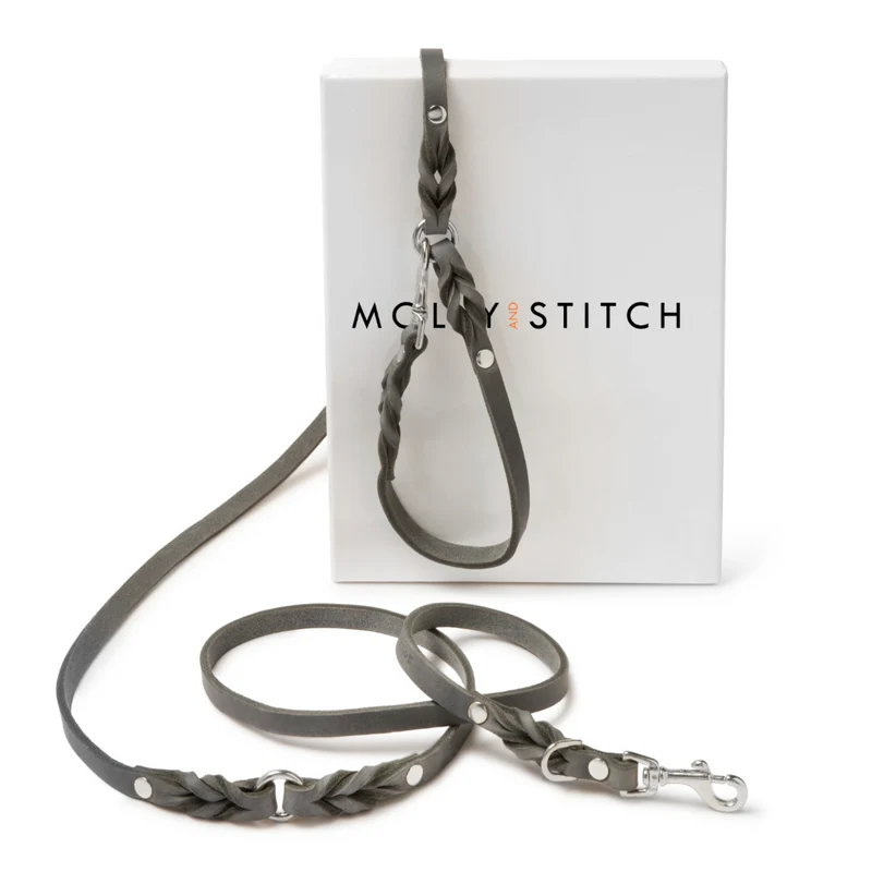 Laisse en cuir pour chien souple réglable (3x)
