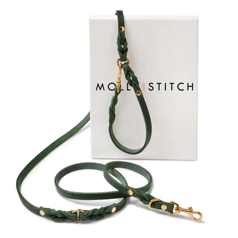 Laisse en cuir pour chien souple réglable (3x)