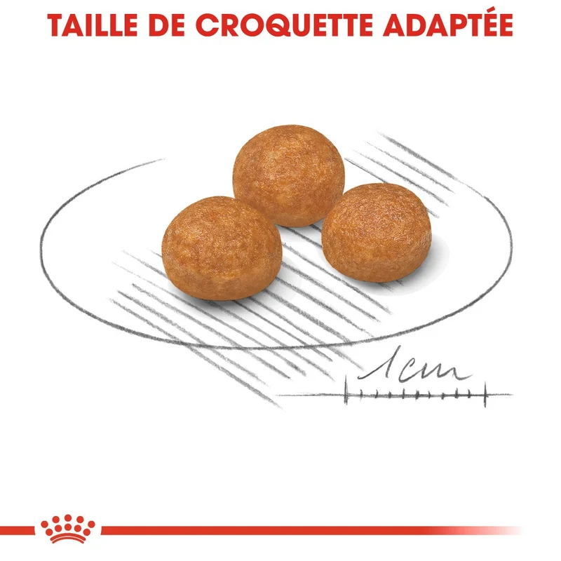Royal Canin X-Small Adult - croquettes très petit chien