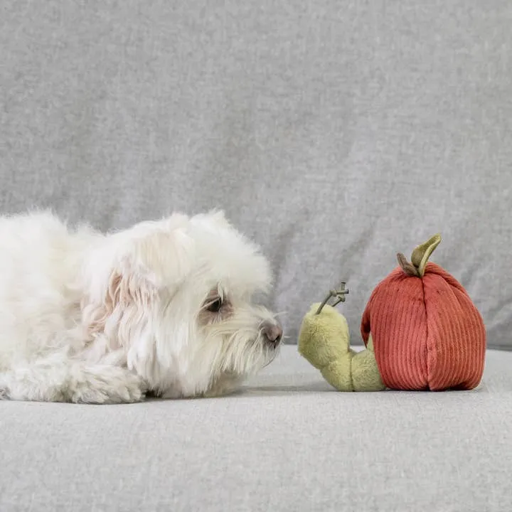 Jouet d’intelligence pour chien – Pomme et Chenille