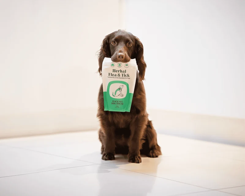 Aliment Complémentaire Naturel Anti-Puces & Tiques pour Chien