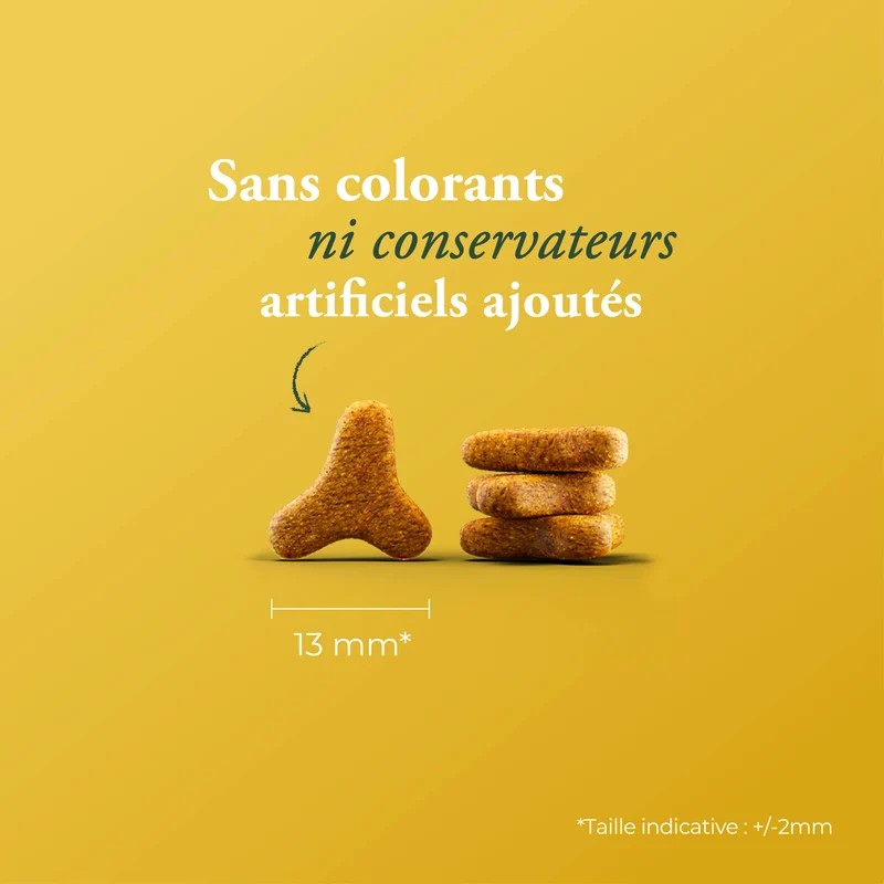 LÉGER