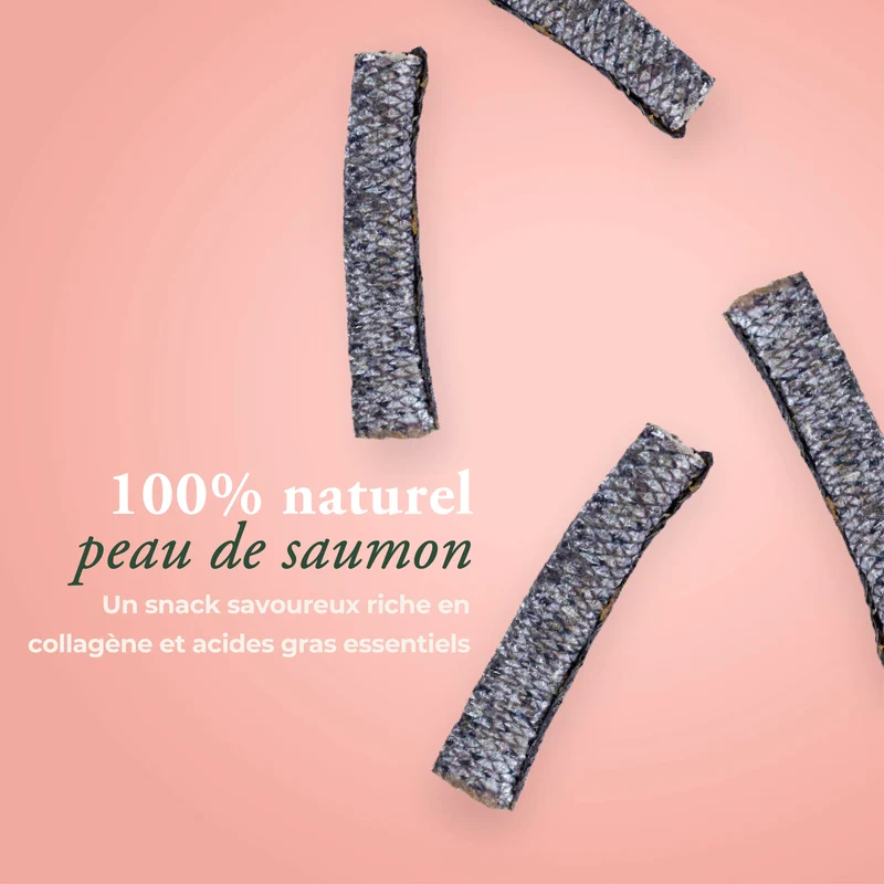 RÉGÉNÉRATION